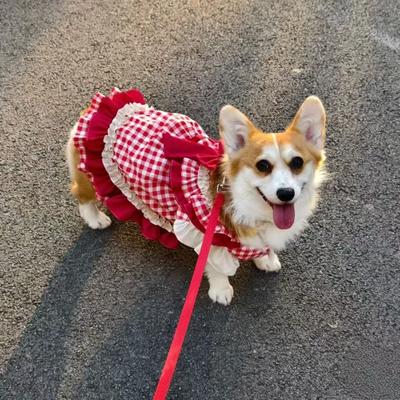 Весенне-летнее ретро красное платье принцессы в клетку Померанский шпиц Би Сюн Корги теплое Лолита маленькая юбка одежда для питомца