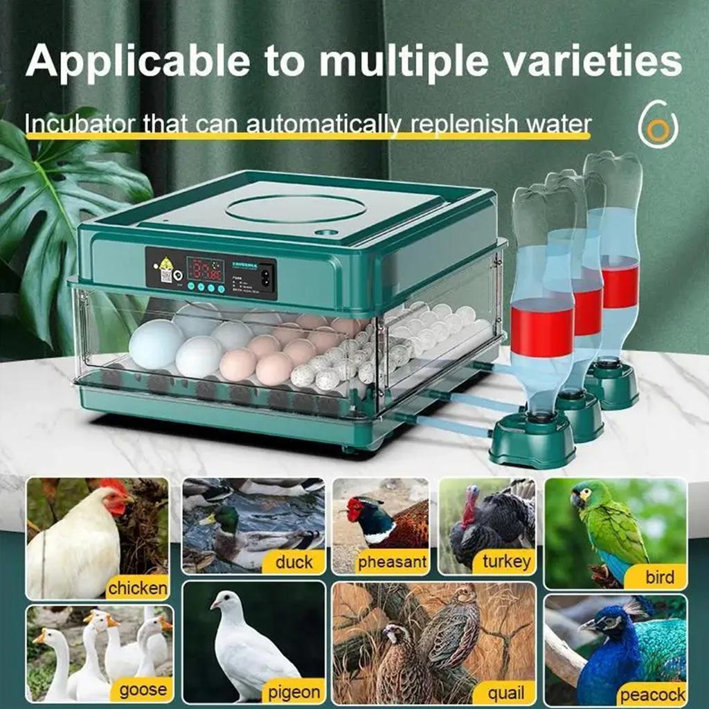 6/12 Яичный инкубатор с ящиком Мини-инкубатор для яиц с автоматическим пополнением слоя ионизированной воды и контролем температуры