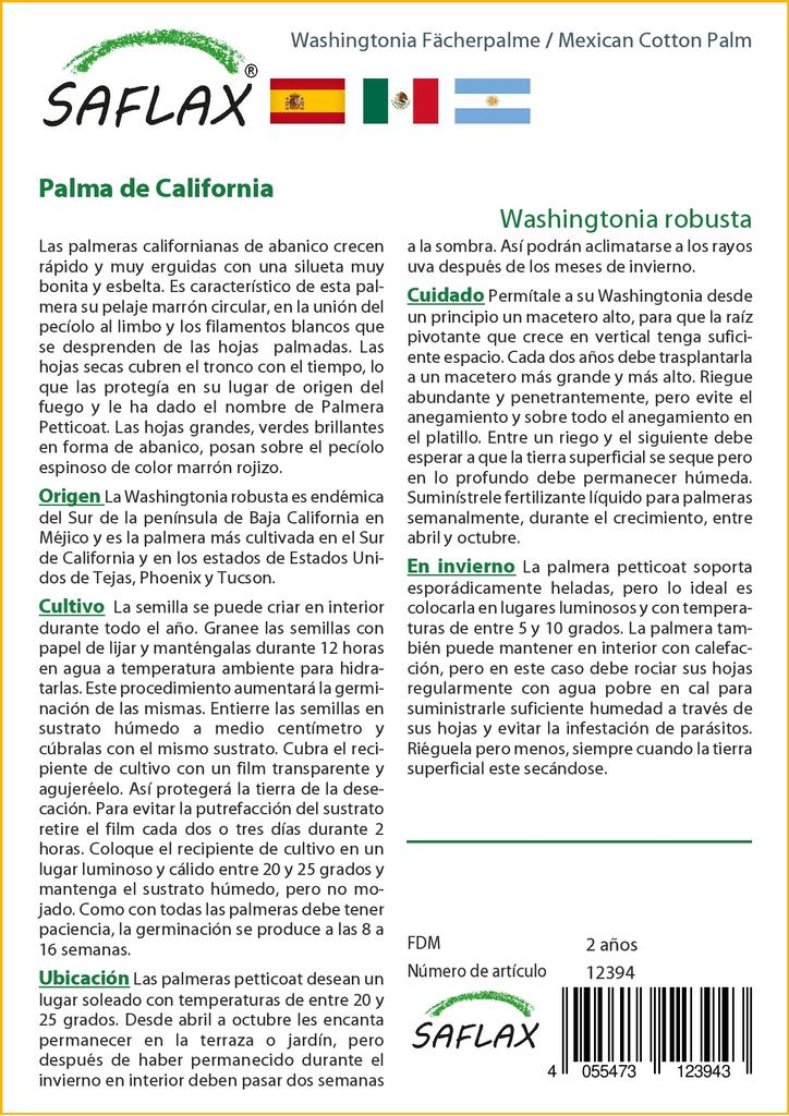 SAFLAX Мексиканская хлопковая пальма - 12 семян - Вашингтония робуста