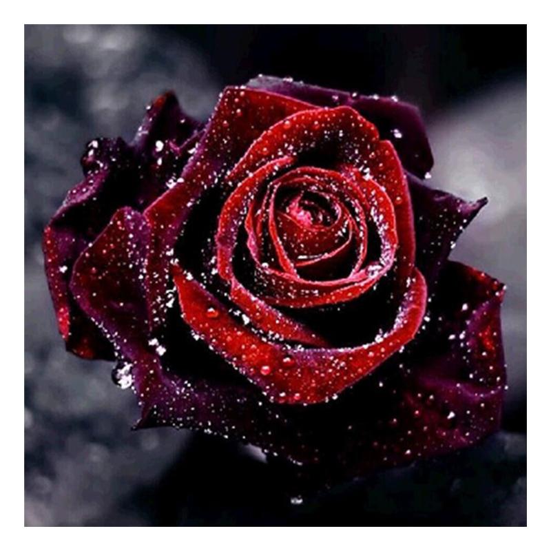 5D Diy алмазная живопись цветок роза вышивка крестиком полная круглая дрель вышивка Алмазная мозаика картина из страз Декор подарок