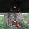 Luminous mushroom door and window ornament, creative resin decorations, garden and farmhouse decorations, office decorations, gifts, car decorations