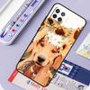 Golden Retriever Friend For Oppo A96 A76 A16 A94 A74 A54 A15 A18 A38 A58 A78 A98 A40 A60 A80 A57 A17 A77 A5 Pro Case