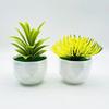 Привлекательное моделирование горшечных растений, долговечное, 2 цвета, устойчивое к ультрафиолетовому излучению.