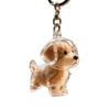 Подвеска-брелок для хранения щенка золотистого ретривера - Милый прозрачный шарм-рюкзак для памятной коллекции.