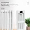 Corrosion-Resistant Cast Iron Radiator