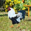 Metal Rooster Garden Stake Weather-proof Heavy Duty Outdoor Patio Yard Lawn Realistic Rooster Iron Spike Stick Decoration Ornament