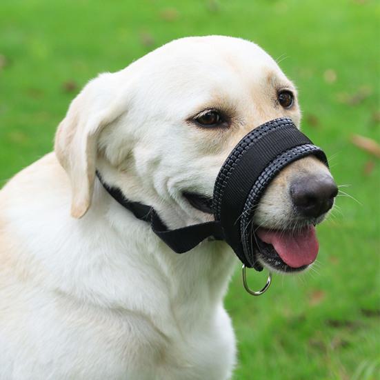 Dog Muzzle Adjustable Loop Nylon Mouth Guard Breathable Anti Barking Biting Chewing Muzzle with Reflective Straps for Small Medium Large Dog