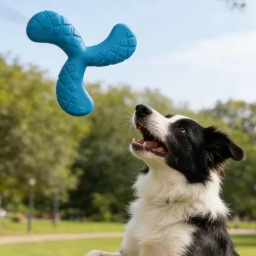 EVA Pet Interactive Flying Disc Wear-Resistant Dog Training Toy Creative Tooth Chew Toy  Backyard