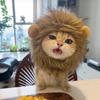 1 шт. Декоративная шляпа для питомца, мягкая, легкая, в стиле льва, дышащий капюшон для питомца, очаровательные аксессуары для фотосъемки питомцев, костюм для кошки, косплей