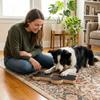 Built-In Treat Box Dog Nail Scratch Board Sandpaper Surface Pet Nail Trimmer  Pet Training