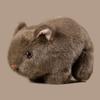 Soft Guinea Pig Plush Toy Cartoon Animal Plush Pillow Cavy Plush Doll  Boys Girls