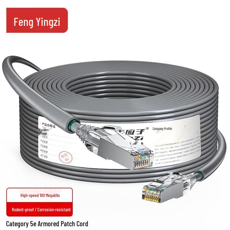 FYZ Экранированный бронированный сетевой кабель Cat5e