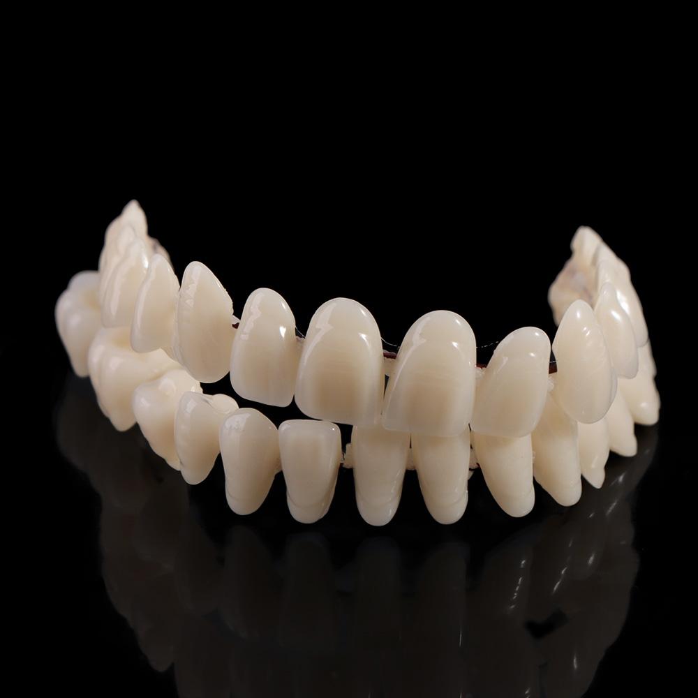 28 Pcs Resin Denture False Teeth Make Your Own Dental Training Models Dental Supply Accessory