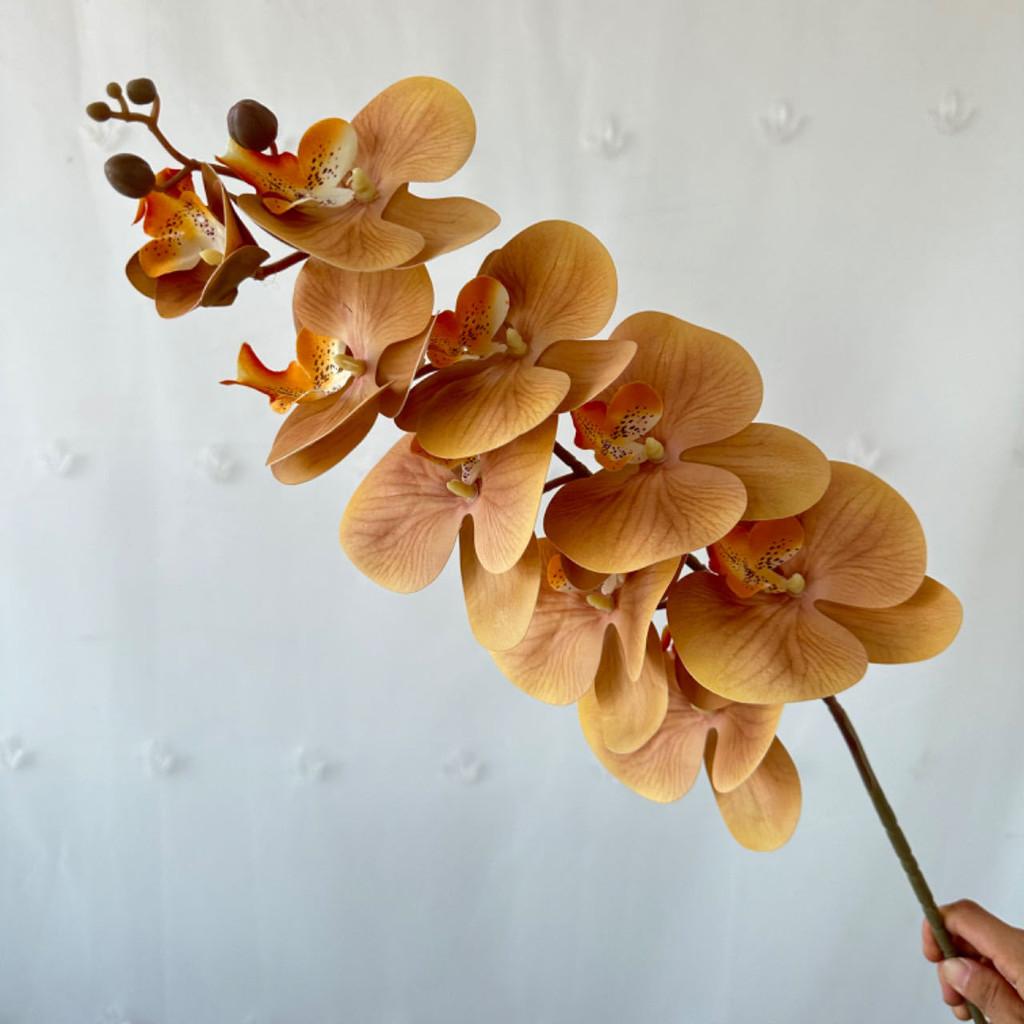 Phalaenopsis French 3d Artificial Flowers For Wedding Decor Home Display Hotel