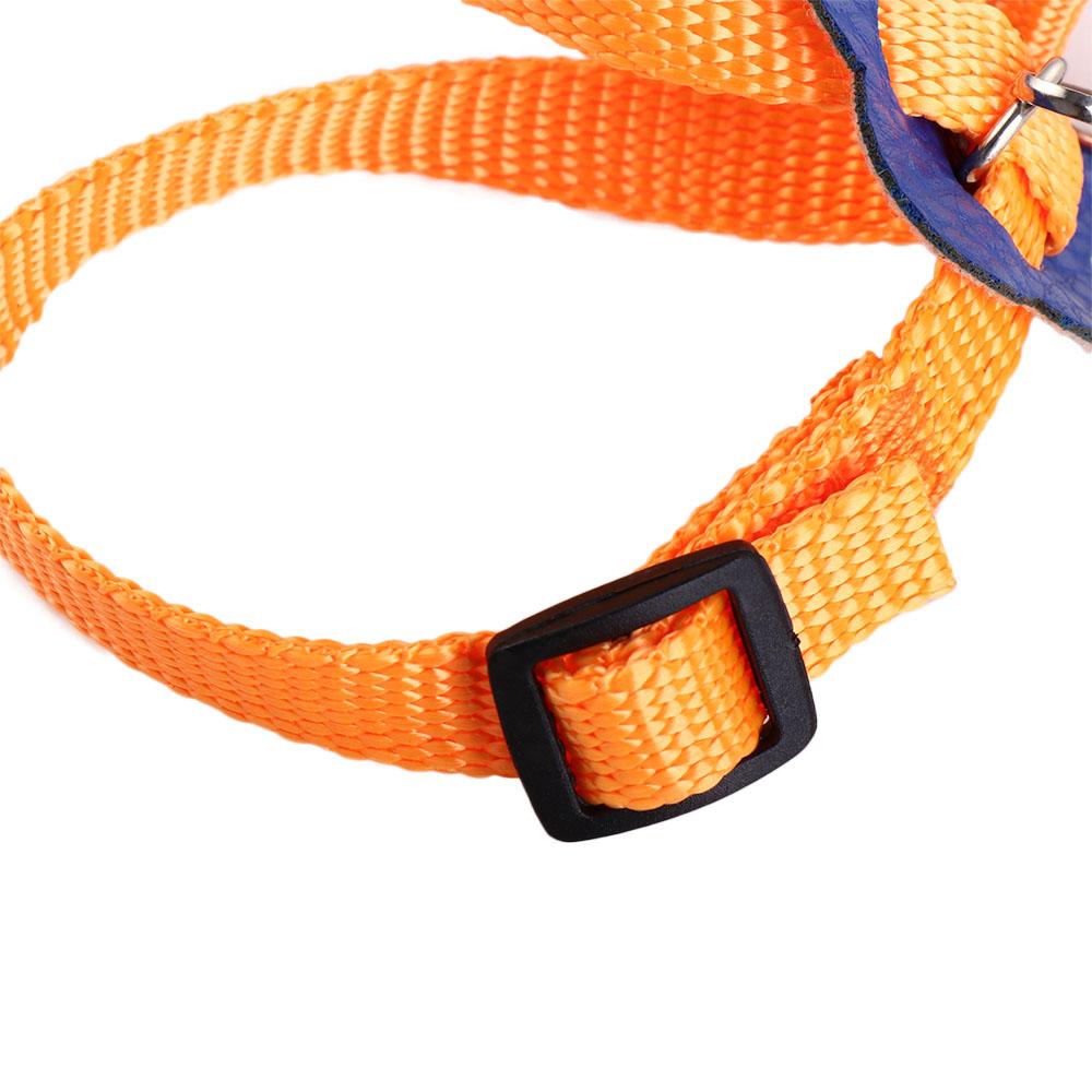 Поводок для дрессировки попугаев Поводок для хомяков Ошейник для птиц Шлейка для домашних животных Шлейка для домашних животных Тяговый ремень для домашних животных