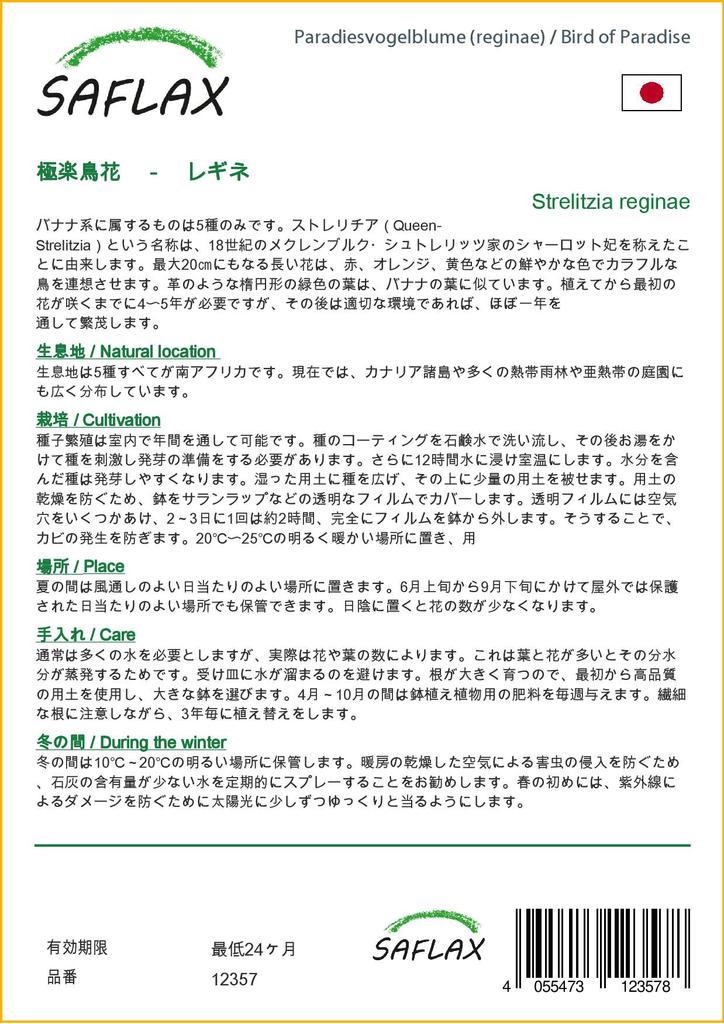 SAFLAX - Gift Set - Bird of Paradise - 5 seeds - With gift box, card, label and potting substrate - Strelitzia reginae