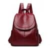 Women's Large Capacity Anti-Theft Backpack: 2024 Autumn/Winter Trendy American-Style Fashion Niche Design