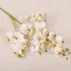 21 Heads Artificial Phalaenopsis Branches Real Touch Simulation Plant  Wedding Home