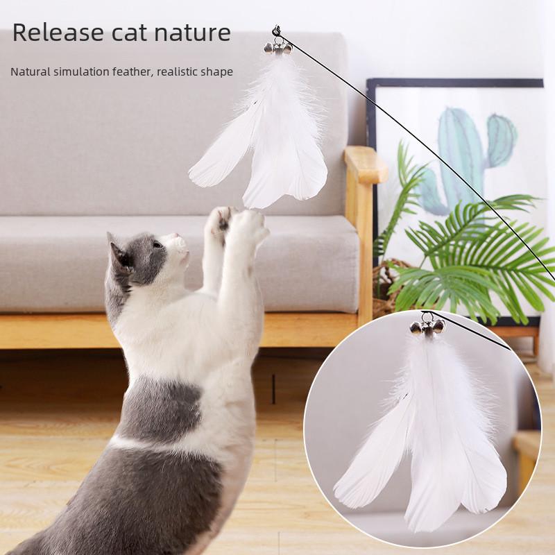 Pet Play Toy Feather Wand With Plastic And Steel Components For Cats