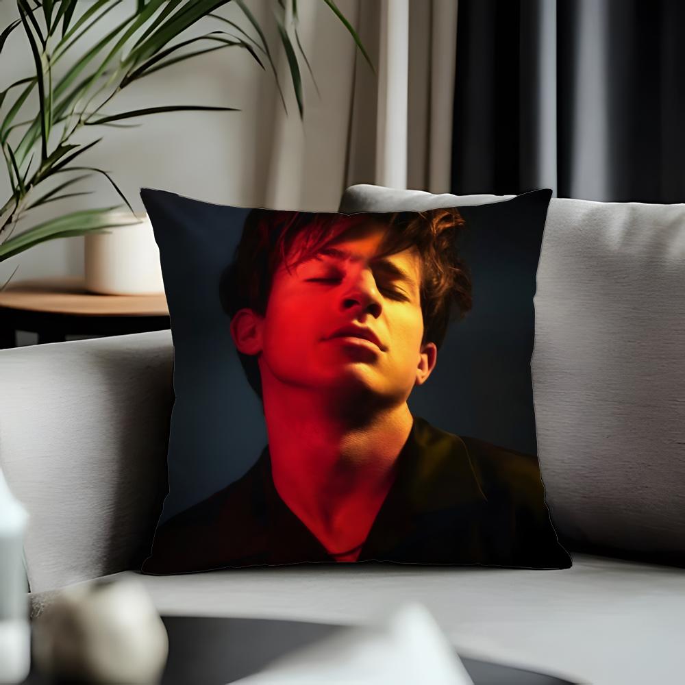Trending CCharlie Puthed Cushion Cover Antidustmite Pillowcase Invisible Zipper Silky Short Plush Sofa Cushion Cover