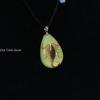 Luminous Naturally Scorpion Necklace Vintage Resin Insect Beetle Spider Amber Pendant Rope Chain Necklaces Glow In Dark Jewelry