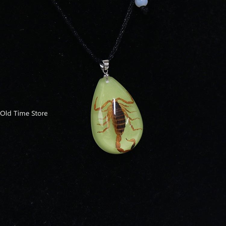 Luminous Naturally Scorpion Necklace Vintage Resin Insect Beetle Spider Amber Pendant Rope Chain Necklaces Glow In Dark Jewelry