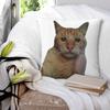 Плачущий кот, которого держат, мем, квадратные наволочки, наволочки для подушек, наволочка на молнии для дивана "