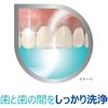 Earth Chemical Polident Стоматологическая Лаборатория Лечебная Зубная Паста, 100 г x 4 шт.