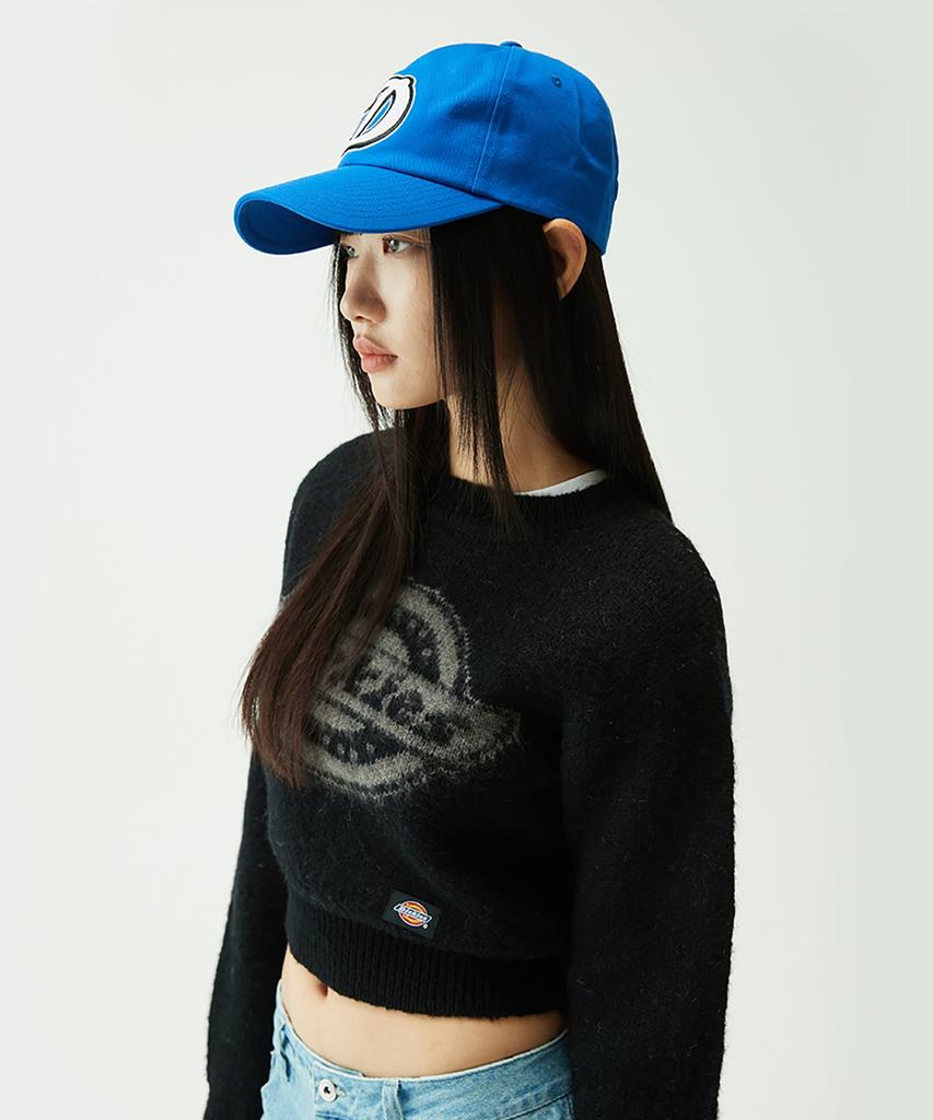 Dickies Кепка D Artwork Синяя