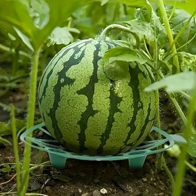 20 шт. Пластиковые подставки для арбузов, Устойчивая ветроустойчивая конструкция, Подходят для различных фруктов, Посадка в домашнем саду, Держатель-лоток для бытовых арбузов