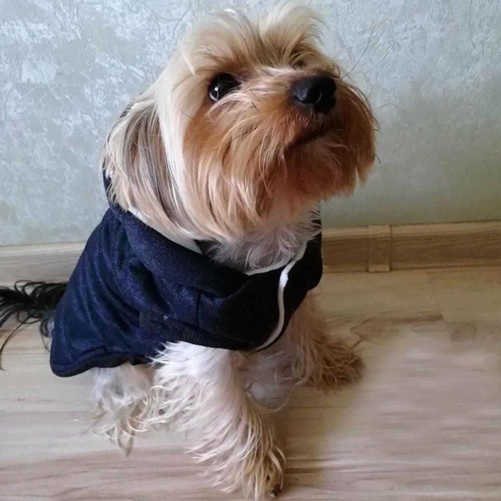 Зимняя одежда для собак, теплый хлопок для маленьких собак, флисовая куртка для щенков, мягкая куртка для собак, толстовка с капюшоном для чихуахуа, наряд для ши-тцу, одежда Yorkies Customes