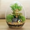 1PC Hydroponic Fleshy Micro Landscape Glass TerrariumCreative Egg-shaped Glass Bottles Succulent Glass Vase Moss Home Decoration