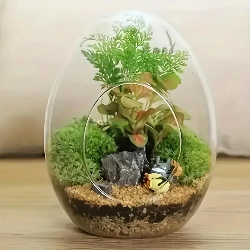1PC Hydroponic Fleshy Micro Landscape Glass TerrariumCreative Egg-shaped Glass Bottles Succulent Glass Vase Moss Home Decoration