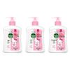 Hello Kitty Limited Edition Moisturizing Hand Wash