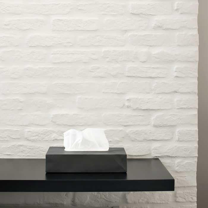 Tissue Box Case S for Slim Type (Black)
