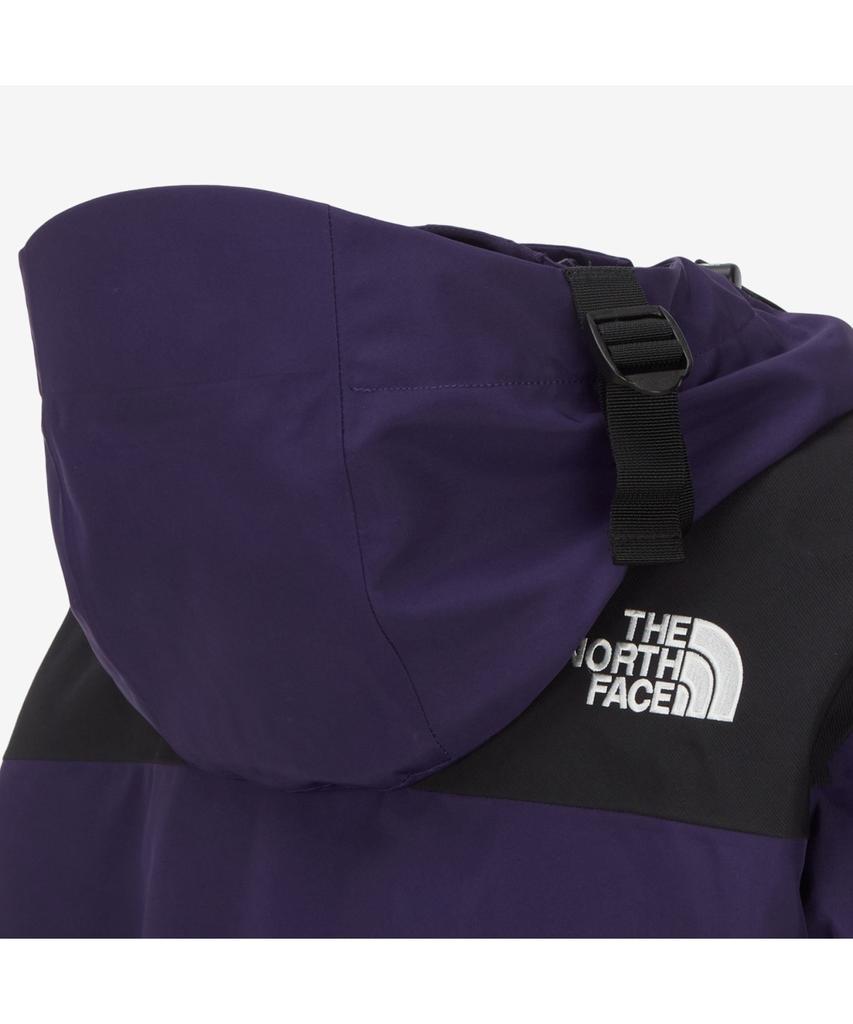 The North Face Nj2Gr02B Men'S Gore-Tex Mountain Jacket Dark_Purple