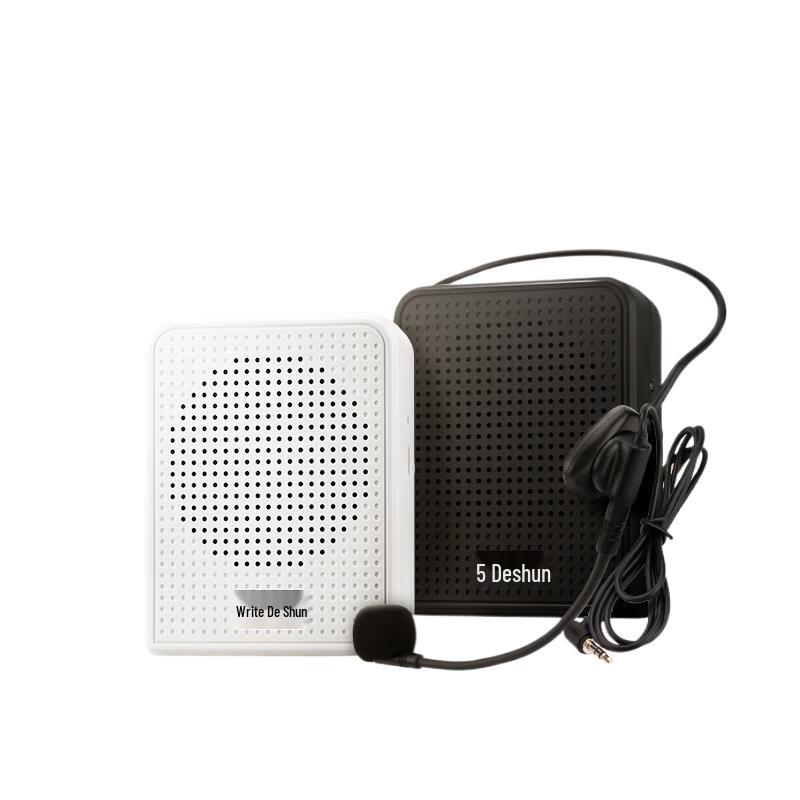 DESHUN Wireless Portable Voice Amplifier with Bluetooth and FM Radio