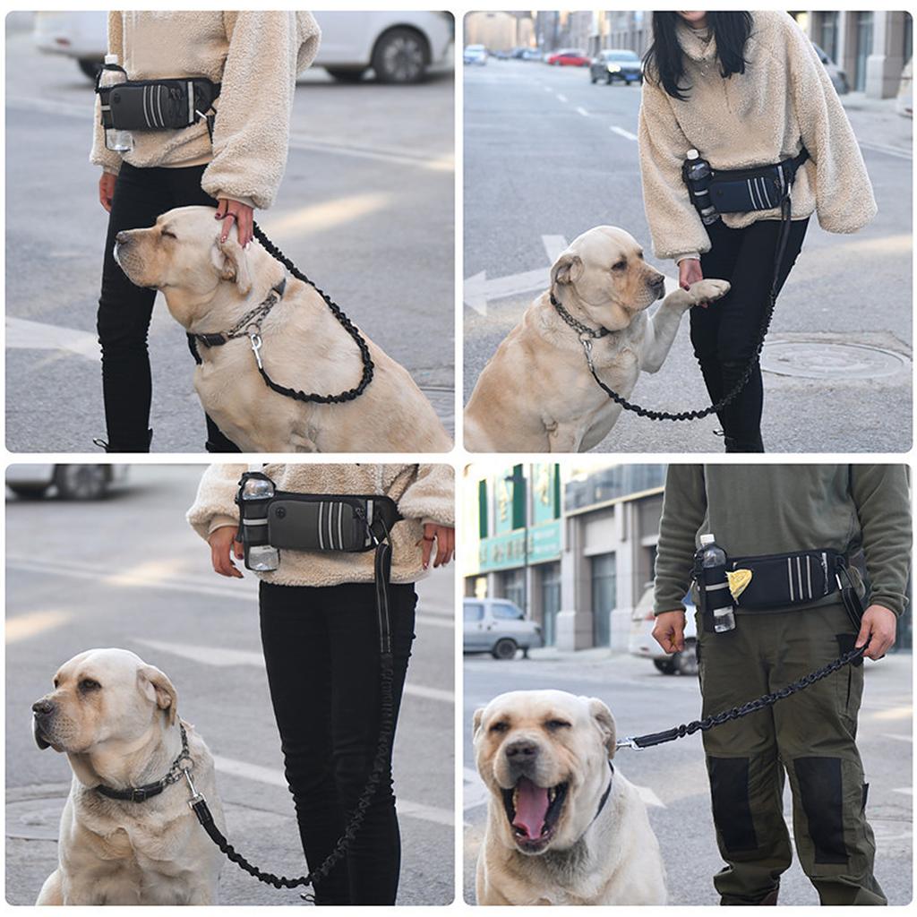 Сумка на пояс для поводка для собак Hands Free, светоотражающая поясная сумка с выдвижными эластичными ремнями, дозатор пакетов для фекалий