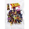 Marvel Унисекс Взрослый X-Men Comic Cover Team Толстовка