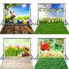Easter Party Background Photography Backdrop Rabbit Colored Eggs Baby Photographic Photo Studio Props
