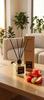 WATERMELON APPLE fragrance diffuser