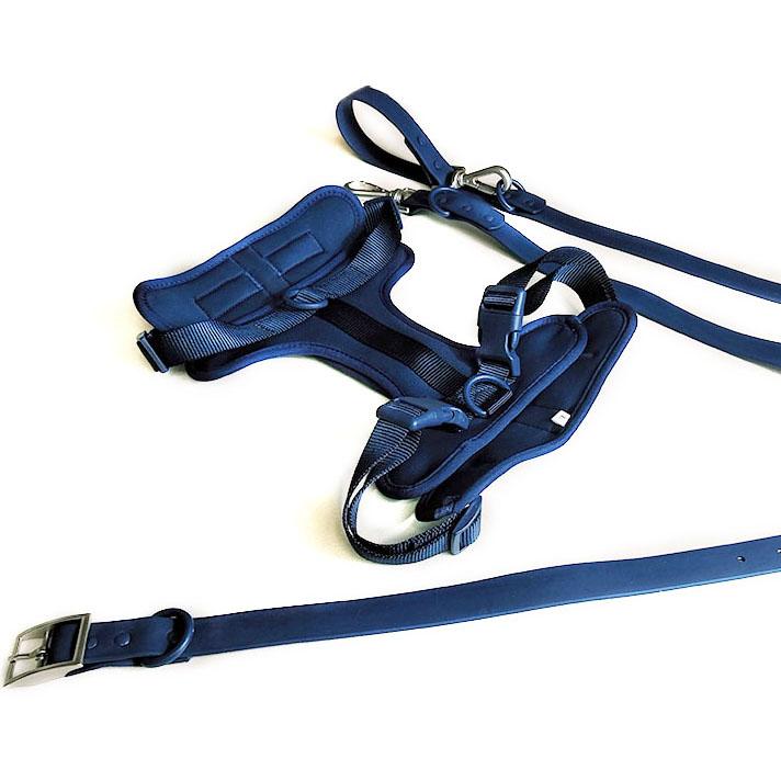 Luxury Fashionable Silicone Dog Harness Set Waterproof Puppy PVC Pet Collar Leash for Training Walks Personalized