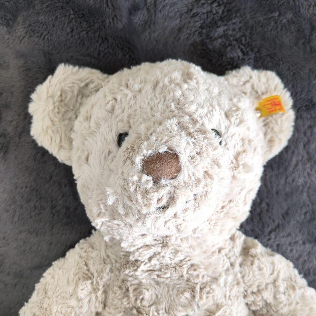 [USED] Beige Steiff teddy bear with anonymous shipping tag, approximately 33cm