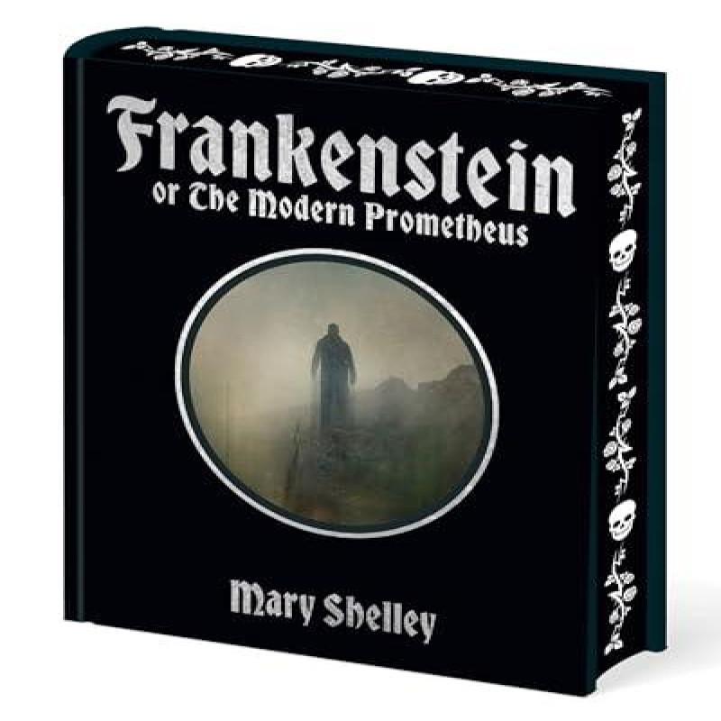 Frankenstein by Mary Shelley Hardback Book 9781398845879