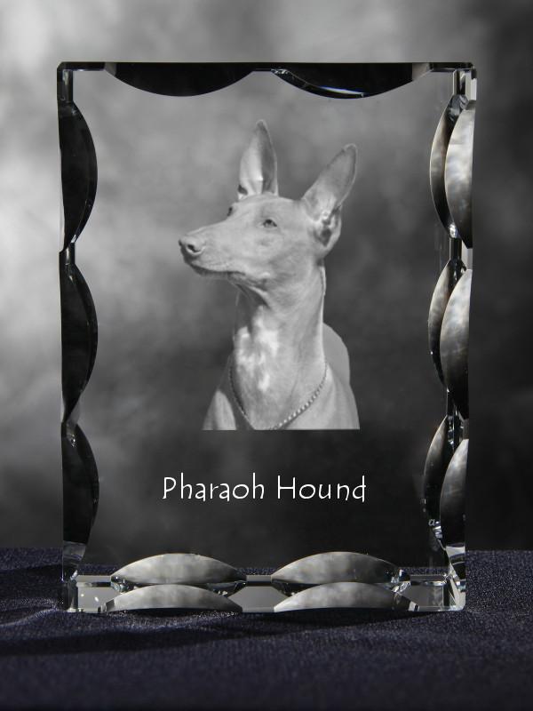 Pharaoh Hound, Kelb tal-Fenek - crystal with a picture of a dog, glass statuette with a picture, unique frame with a picture from Art-Dog brand