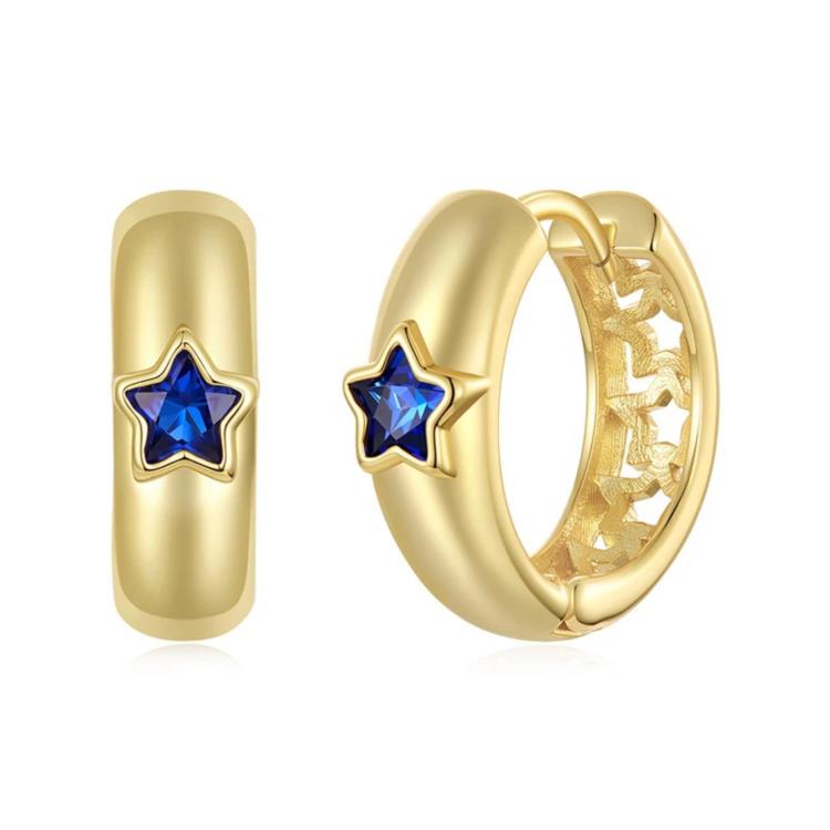 S925 Sterling Silver Needle Star-Shaped Copper Earrings