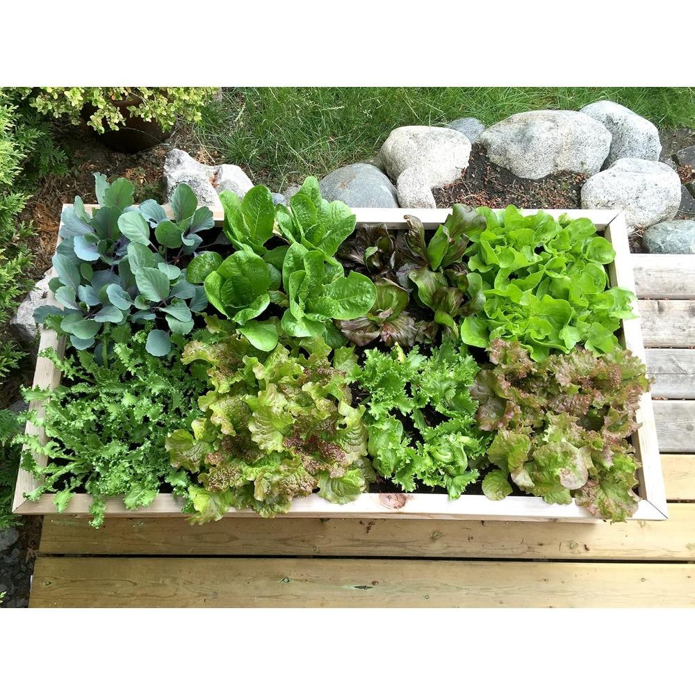 Посевной квадрат — инструмент для разделения семян и рассады для большего урожая, организованных растений и меньшего количества сорняков — шаблон для садоводства с цветовой кодировкой