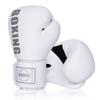 Kids Boxing Gloves Training Punching Bag MMA Muay Thai Combat Sports Youth Unisex PU 6oz-14oz