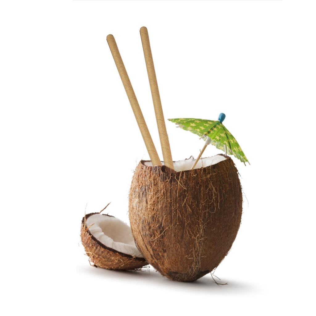 100 Pcs Cocktail Straws Compostable Biodegradable Straws 7.75in Long for Smoothies Tumblers Cocktail MilkShake for Party