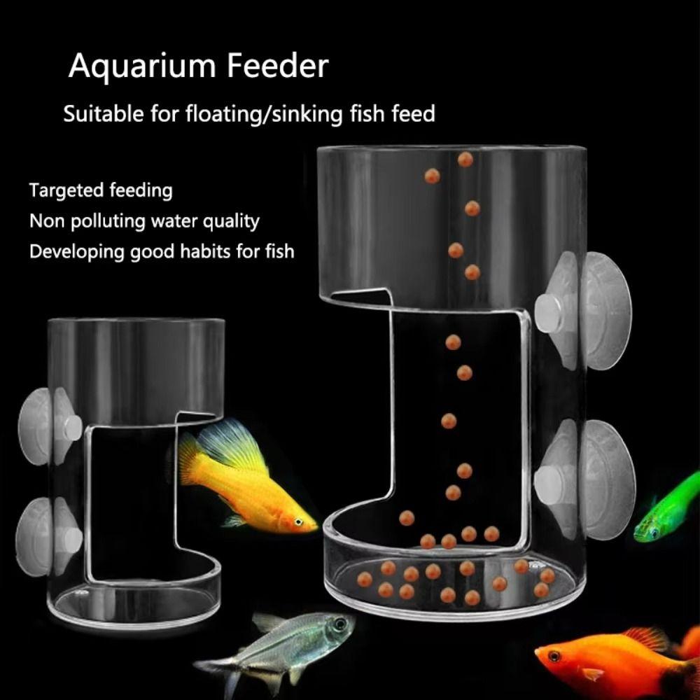 Suction Cup Aquarium Feeders Ring Acrylic Fish Tank Food Dispenser for Baby Fish Shrimp